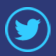 Twitter icon