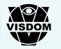 Vidsom logo