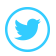 Twitter icon
