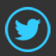 Twitter icon